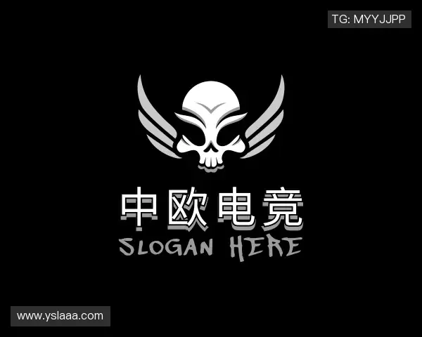 了解中欧电竞最新地址