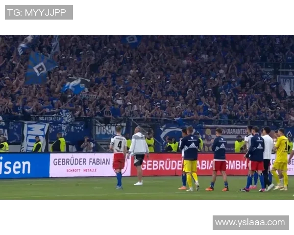 汉堡客场失利,慕尼黑1860取得胜利 汉堡客场失利,慕尼黑1860取得胜利