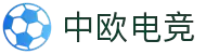 中欧电竞-连接东西方的电竞桥梁
